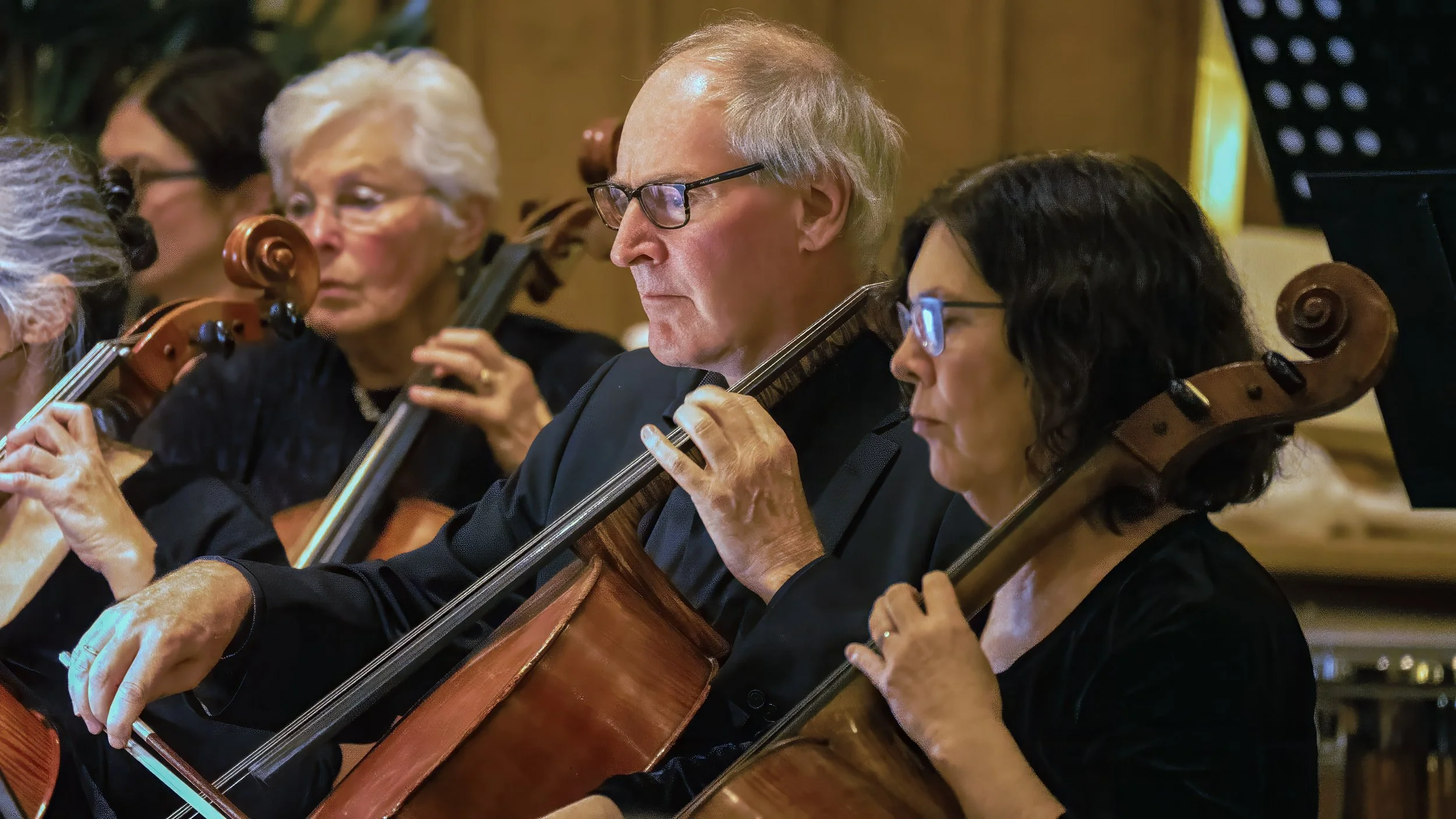 Mill Valley Philharmonic — Sausalito Center For The Arts